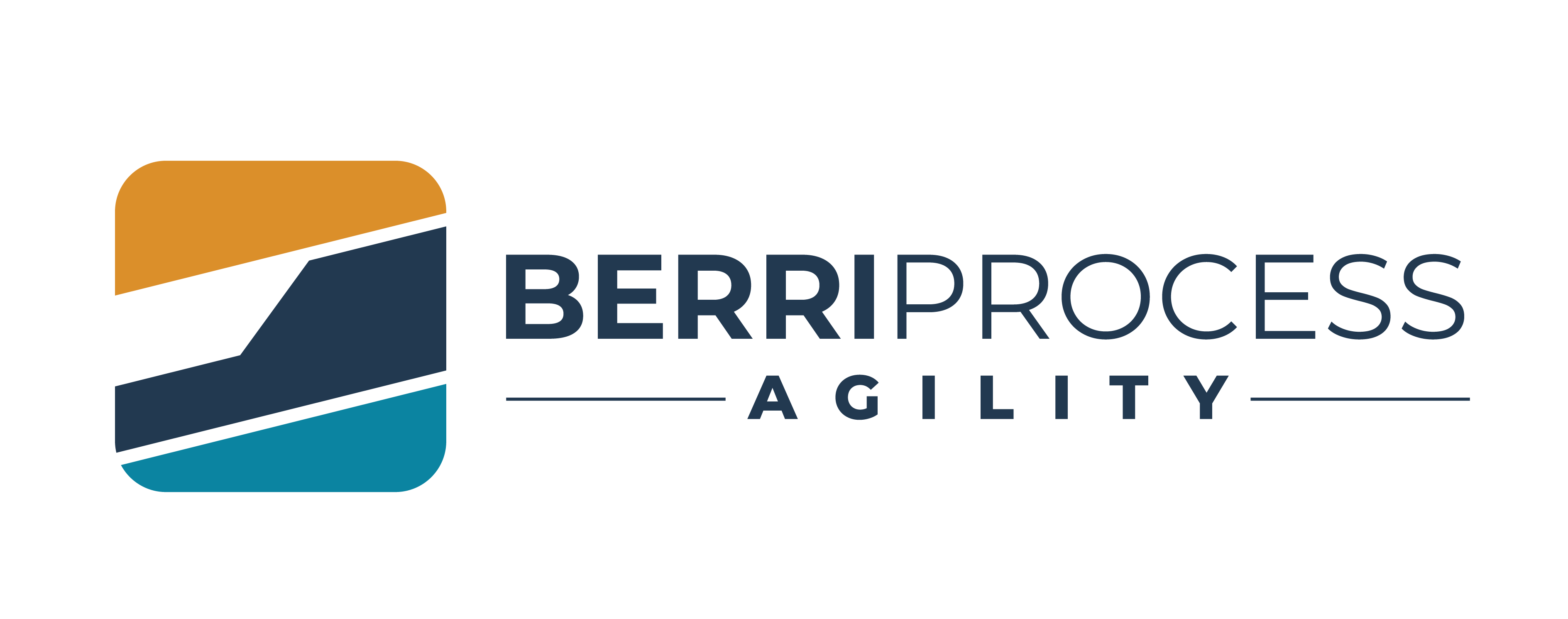 2berriprocess_sin_fondo_2.png